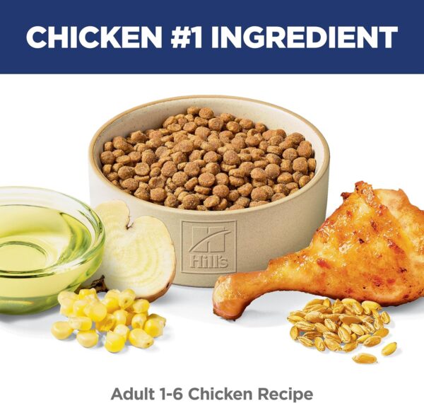 Hill's Science Diet Adult Chicken Recipe Dry Cat Food 4 lbs. - Image 2