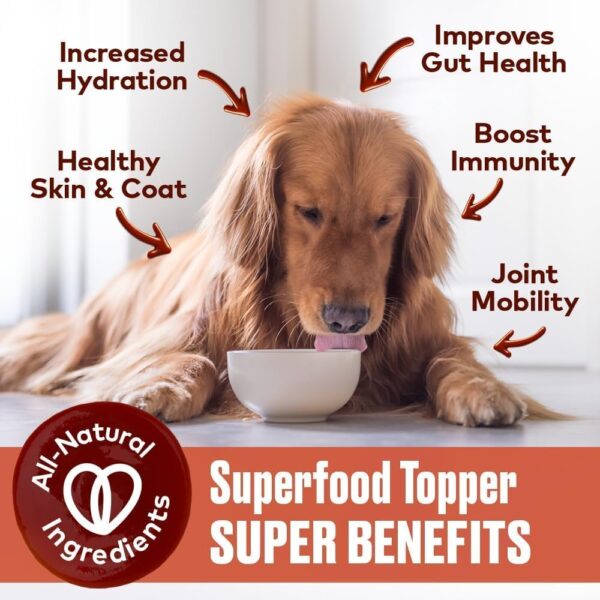 Beef, Chicken & Mobility Dog Food Topper Bundle - Supports - Image 3